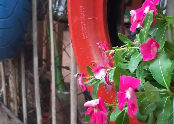 Krousar Khmer's Pensjonat Siem Reap