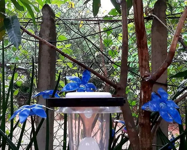 Krousar Khmer's Pensjonat Siem Reap